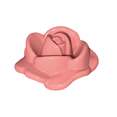 30253060_sparepart/Rose Petal Open