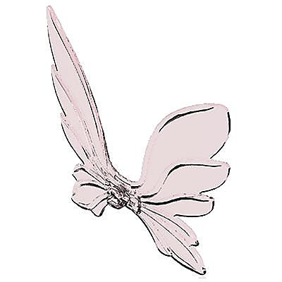 30253073_sparepart/Ailes de fées