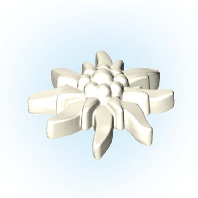 30256622_sparepart/Blüte-Edelweiss (Einzeln)