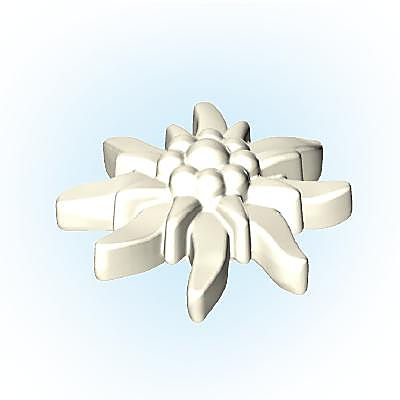 30256622_sparepart/Blüte-Edelweiss