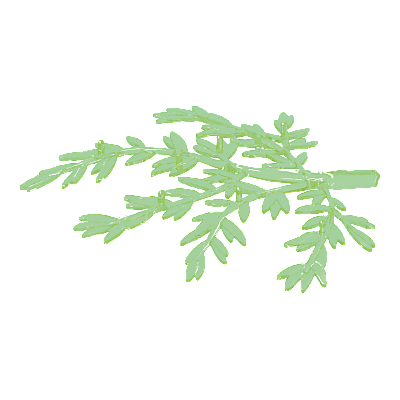 30259312_sparepart/Feuilles de l'arbre