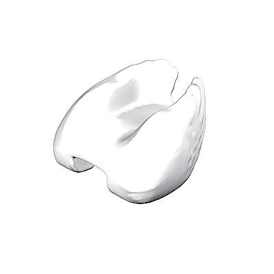 30274090_sparepart/Schwan-Flügel