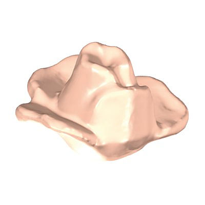 30277840_sparepart/ROSE, HALF OPEN