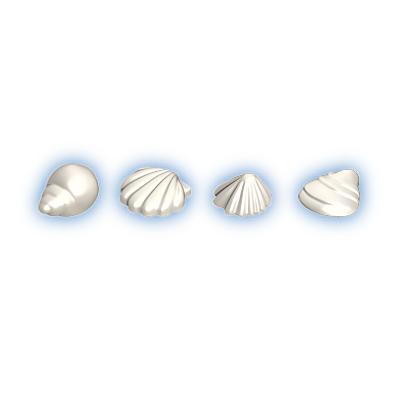 30511313_sparepart/Muscheln