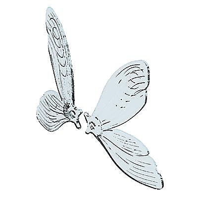 30511842_sparepart/Ailes de fée