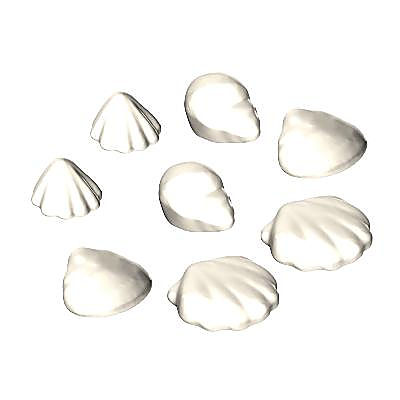 30513380_sparepart/Coquillages
