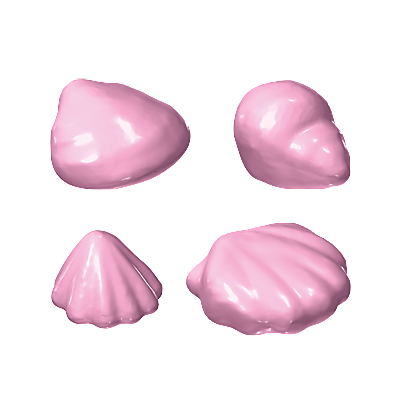 30516012_sparepart/Muscheln