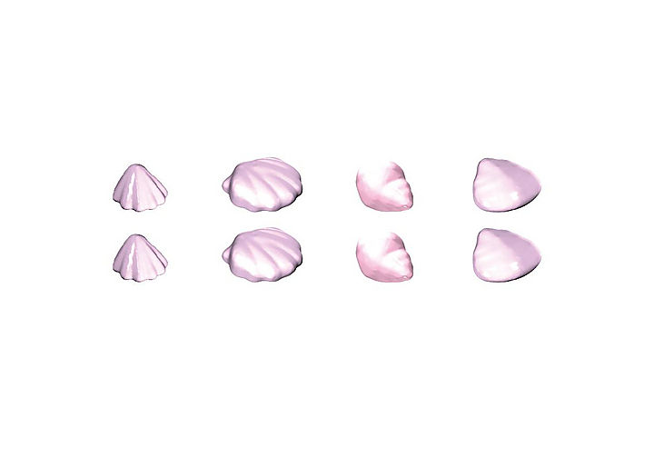 30516070_sparepart/Seashells