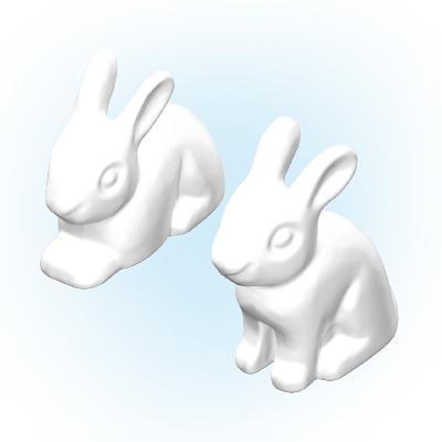 https://media.playmobil.com/i/playmobil/30618760_sparepart