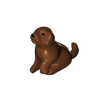 30626083_sparepart/Chiot marron