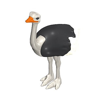 30657162_sparepart/Straussenvogel