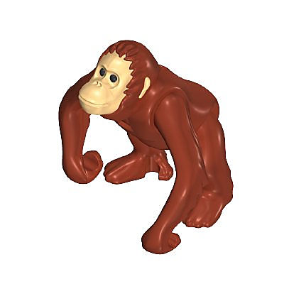 30659412_sparepart/Orang Outan