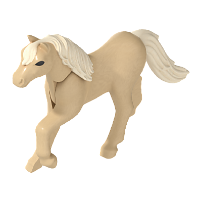 30660214_sparepart/Pony 19