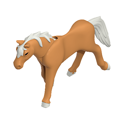 30662822_sparepart/HORSE:ASS.