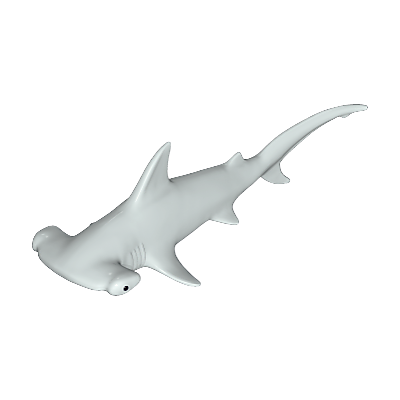 30663952_sparepart/Hammerhai II