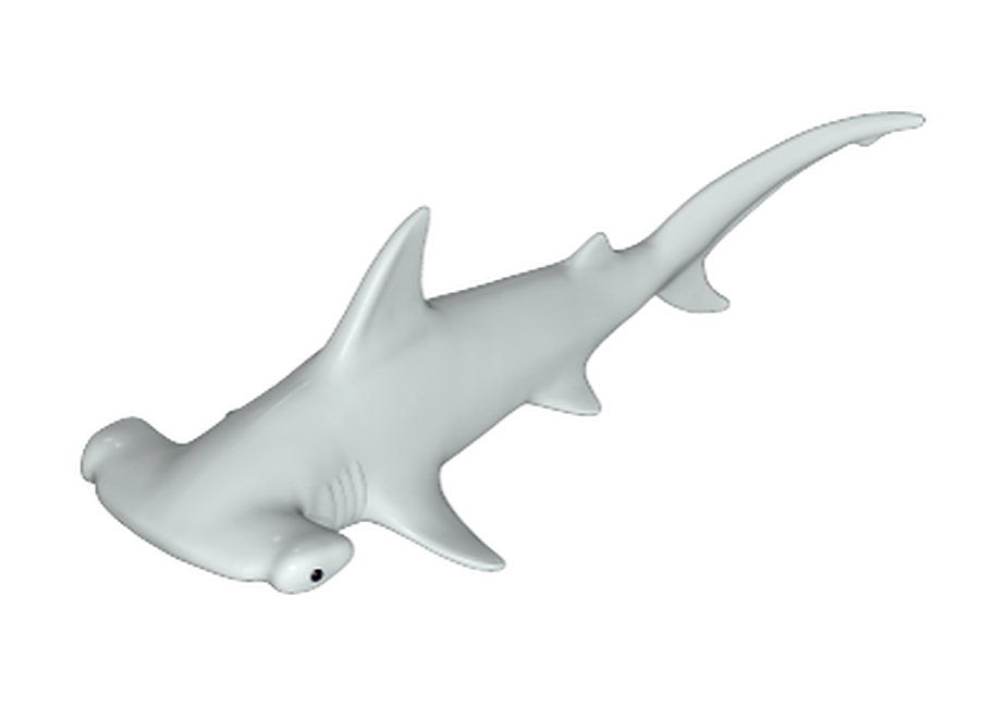 Hammerhai II 30663952 PLAYMOBIL