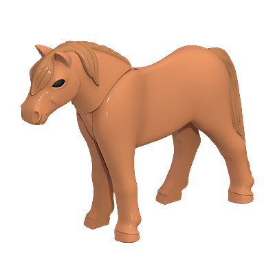 30664173_sparepart/Pony 11