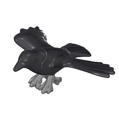 30664680_sparepart/FLYING RAVEN ASS.