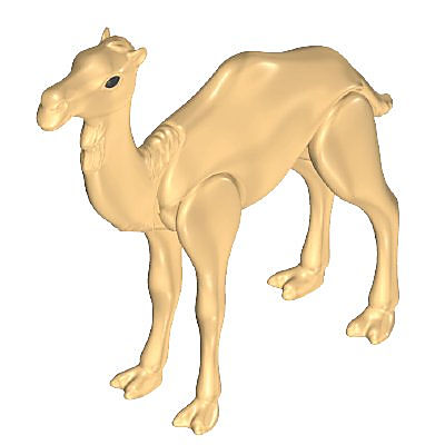 30664823_sparepart/CAMEL ASSEMBLED