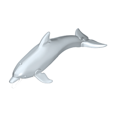 30666010_sparepart