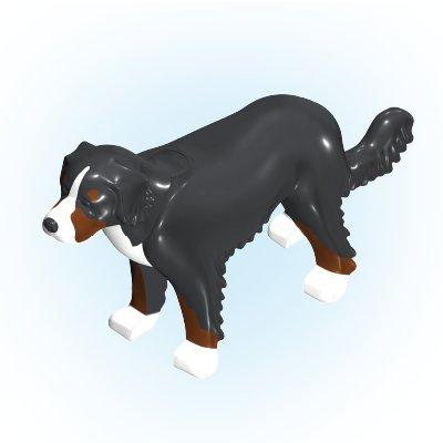 https://media.playmobil.com/i/playmobil/30667452_sparepart