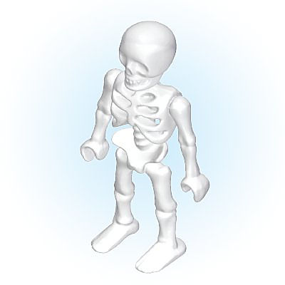 30667460_sparepart/SKELETON BONES ASSEMBLED