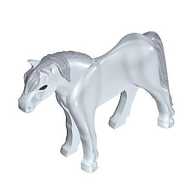 30669472_sparepart/Pony 11