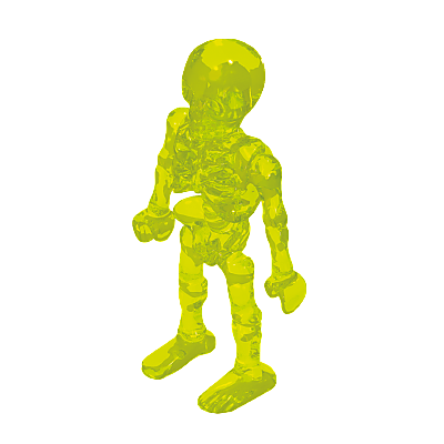 30673363_sparepart/SKELETON BONES ASSEMBLED
