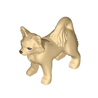 30678082_sparepart/Chihuahua