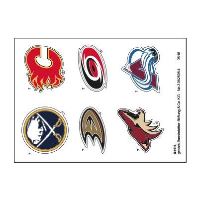 30825954_sparepart/Etikett 5069 Ice Resurfacer (Teams B)