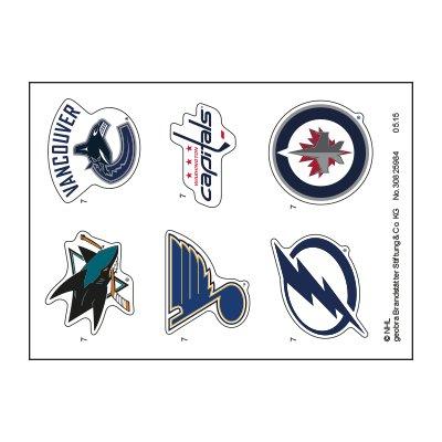 30825984_sparepart/Etikett 5069 Ice Resurfacer (Teams E)