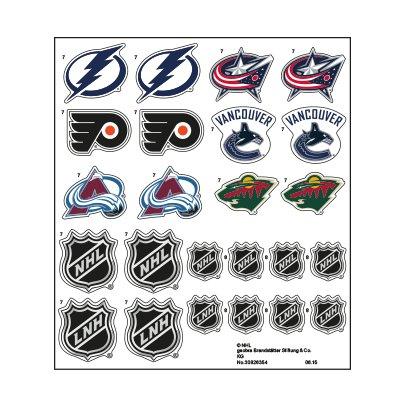 30826354_sparepart/Etikett 5068 Hockey Rink (Teams C)