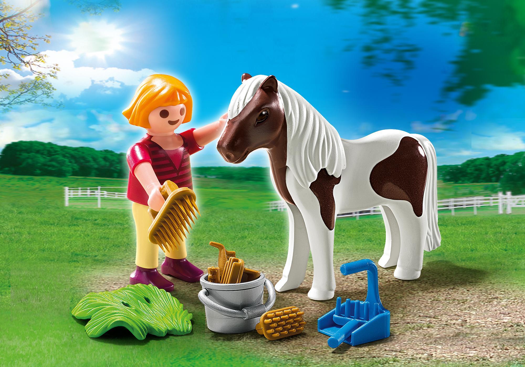 https://media.playmobil.com/i/playmobil/5291_product_detail