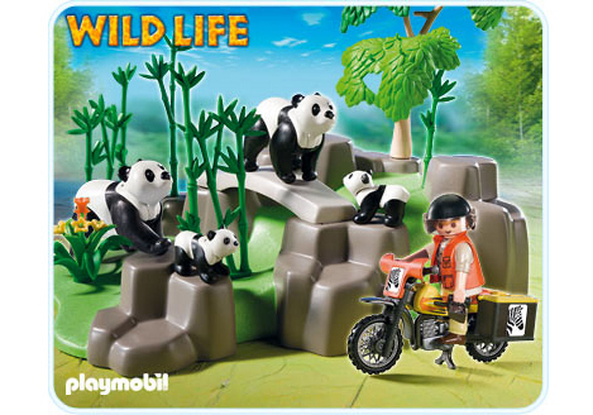 5414-A Pandafamilie im Bambuswald zoom image1