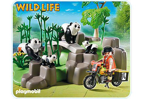 5414-A Pandafamilie im Bambuswald detail image 1