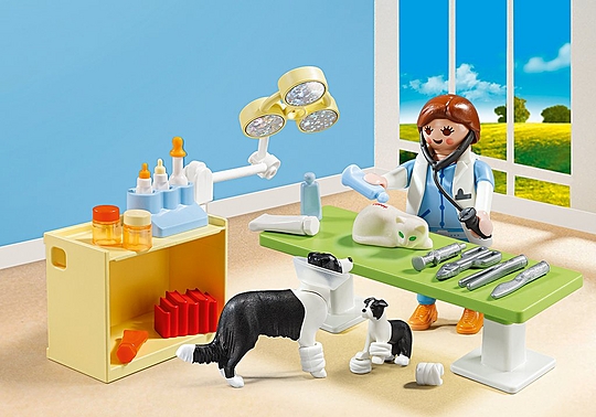 Vet Visit Carry Case 5653 PLAYMOBIL
