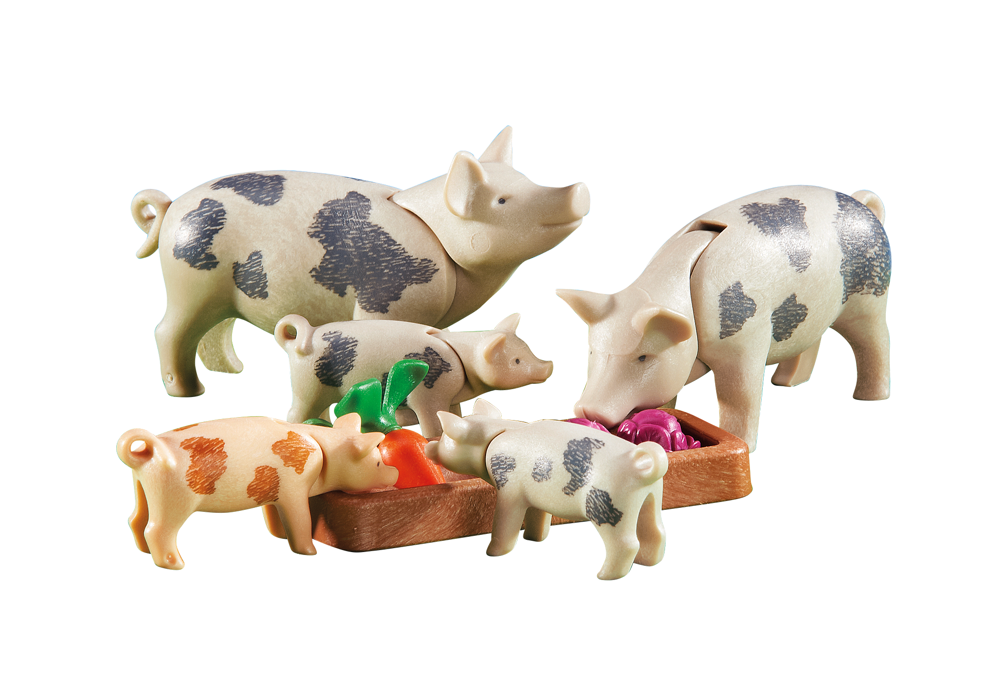 https://media.playmobil.com/i/playmobil/6355_product_detail