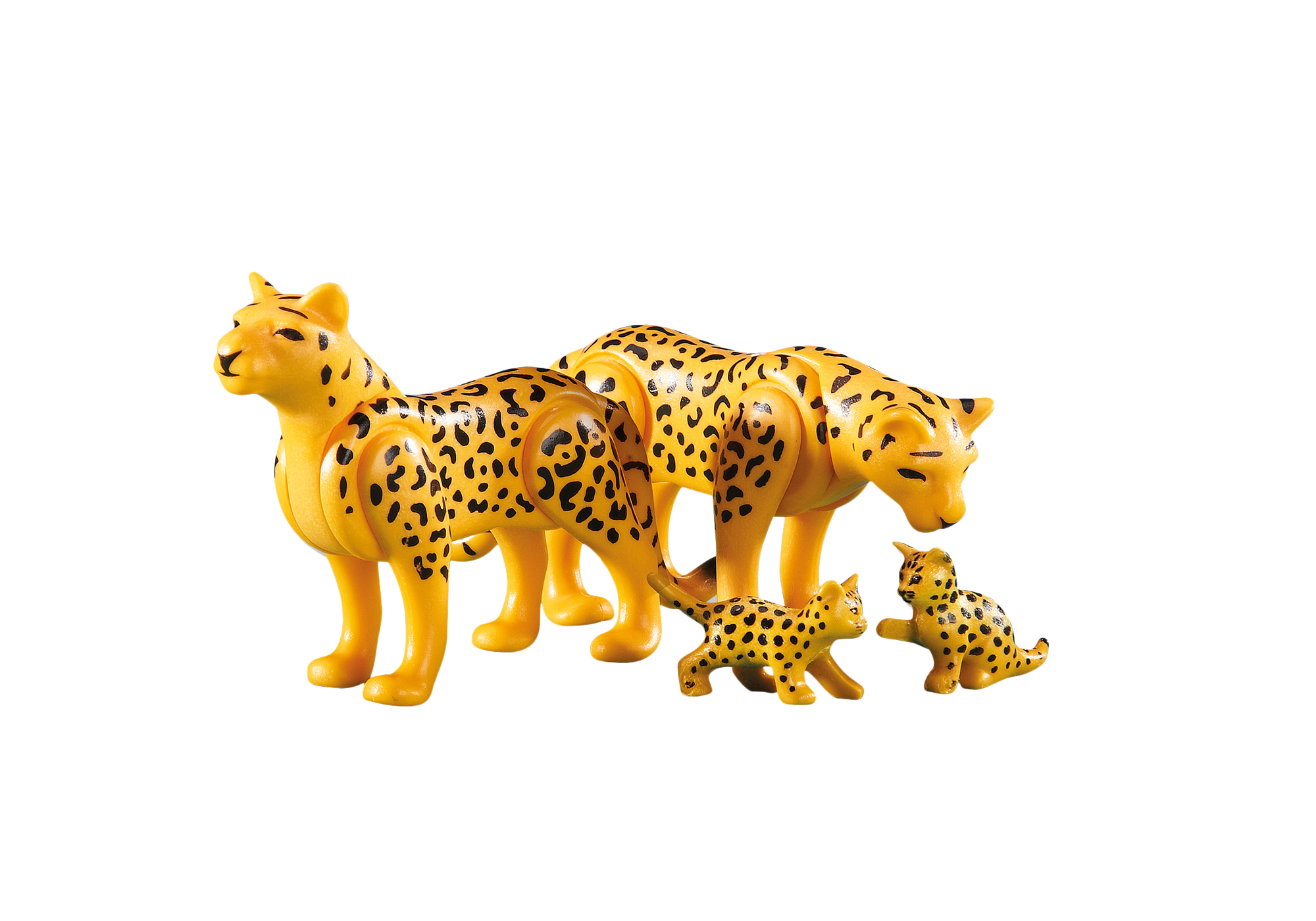 https://media.playmobil.com/i/playmobil/6361_product_detail