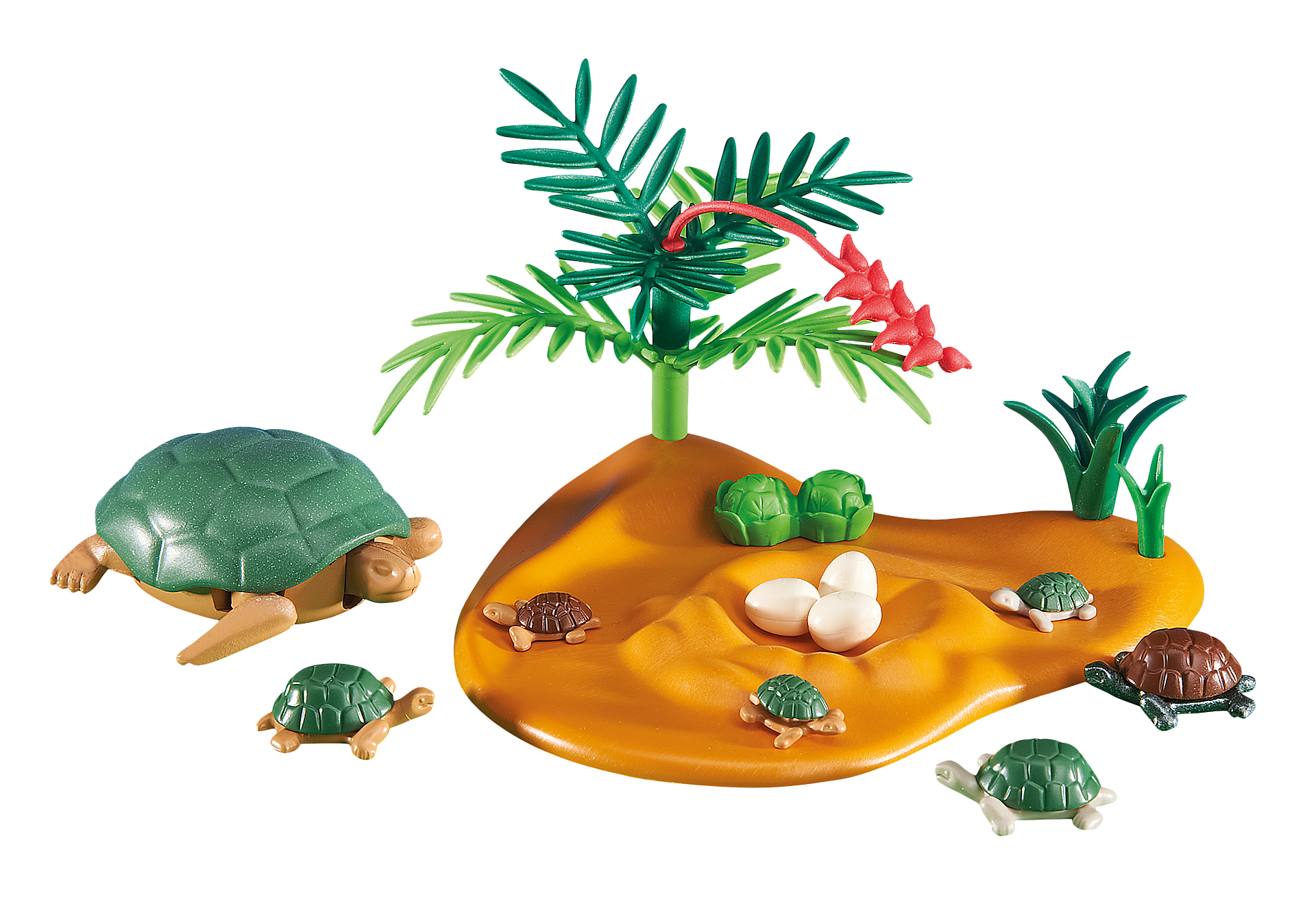 Tortue Avec Bebes 64 Tortue Avec Bebes 64
