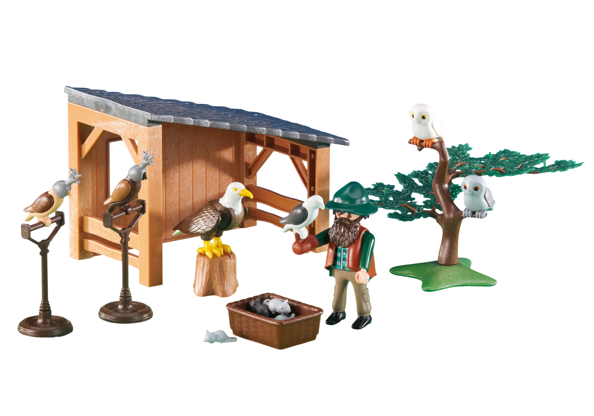 Falconry - 6471 -