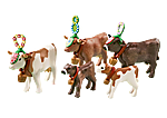6535 Traditioneel versierde koeien 