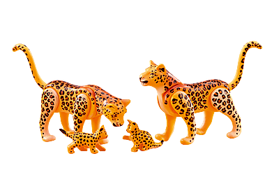 6539 Famille de léopards