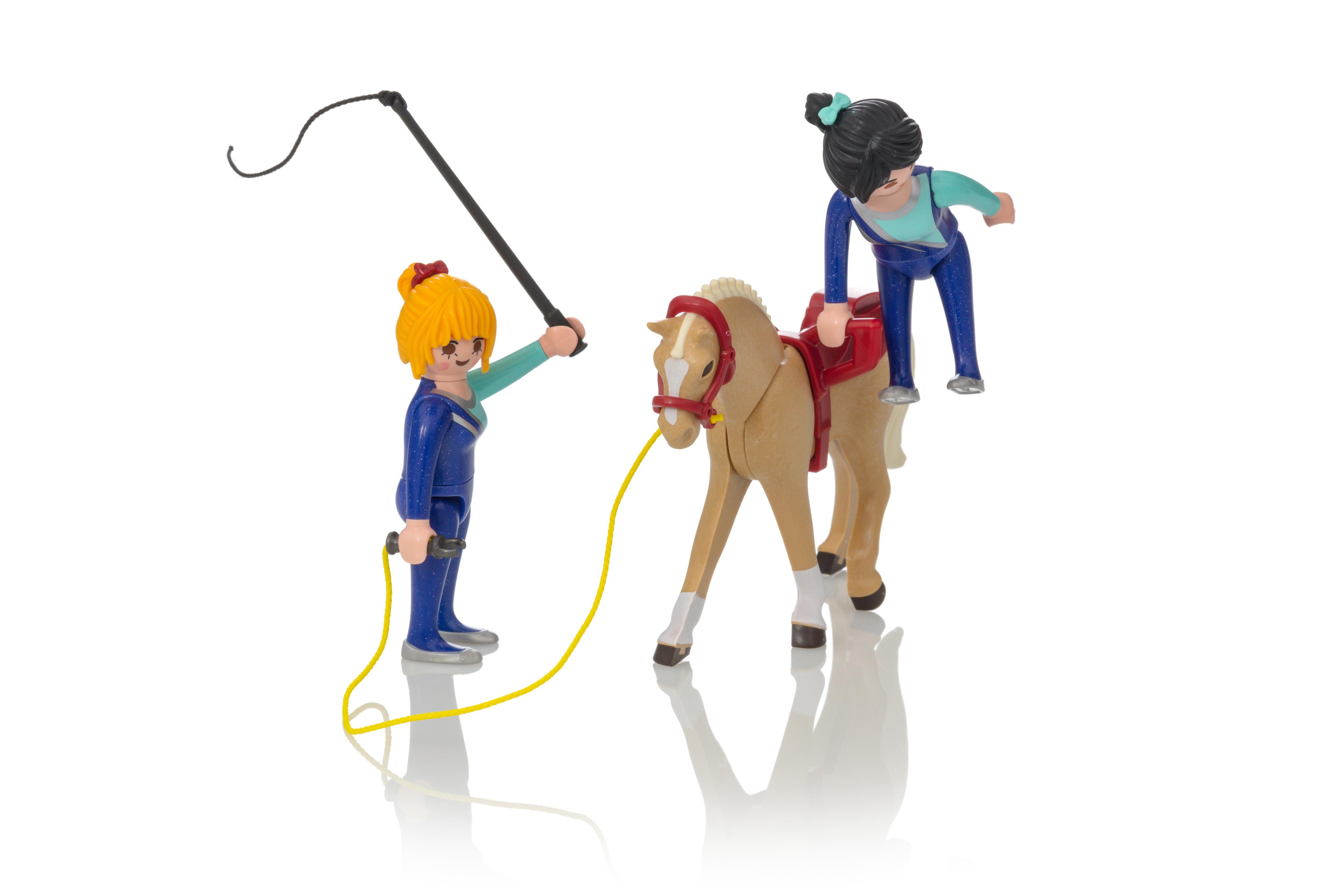 6933 playmobil