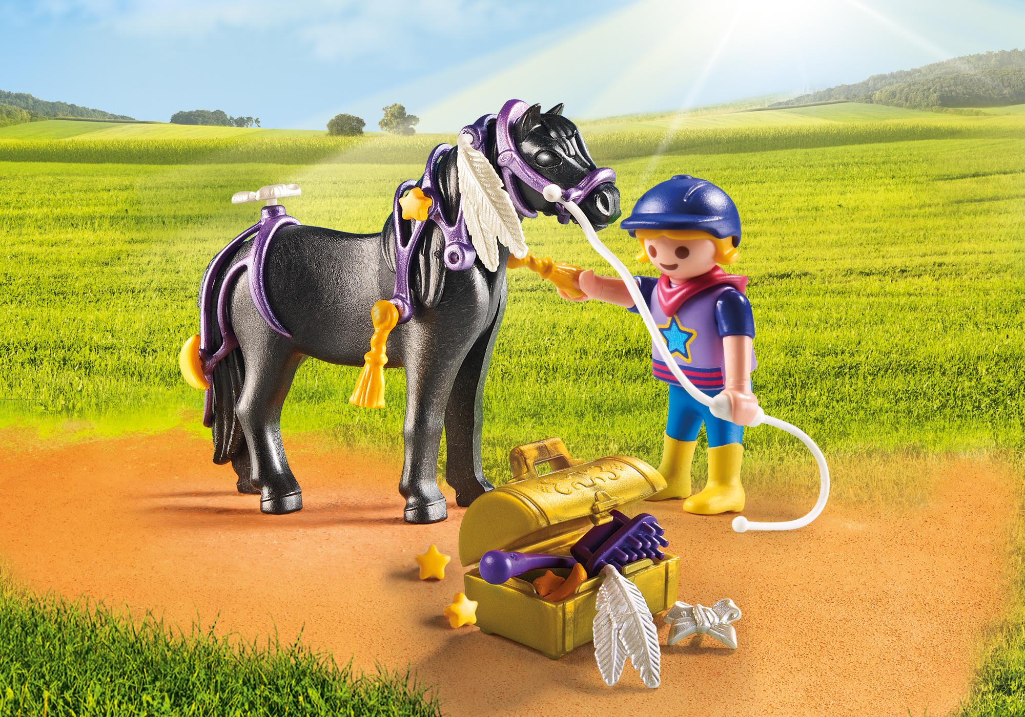 https://media.playmobil.com/i/playmobil/6970_product_detail