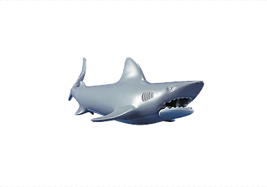 7006 Shark