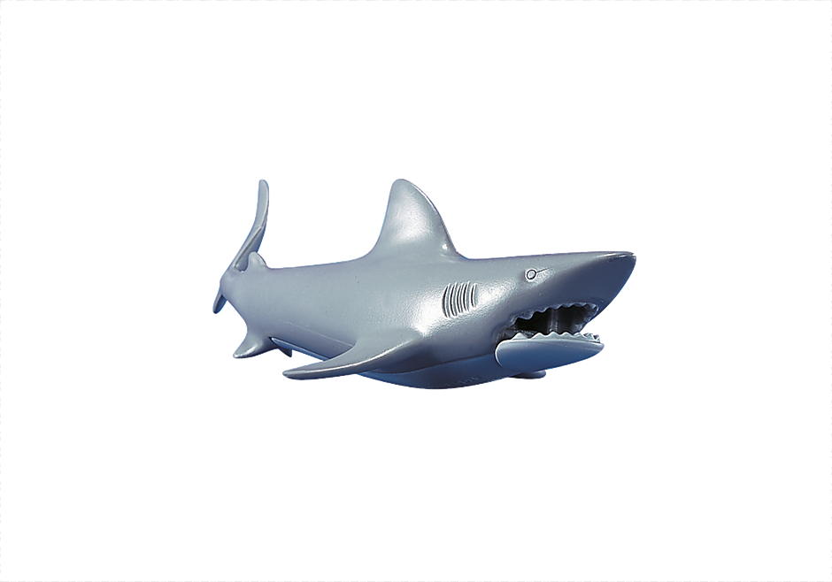 7006 Un requin detail image 1