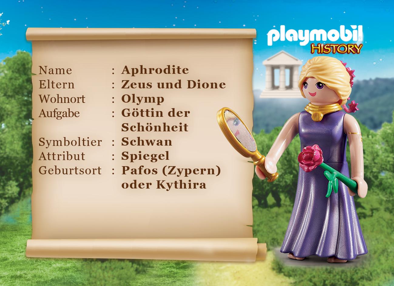 https://media.playmobil.com/i/playmobil/70213_product_extra1_de