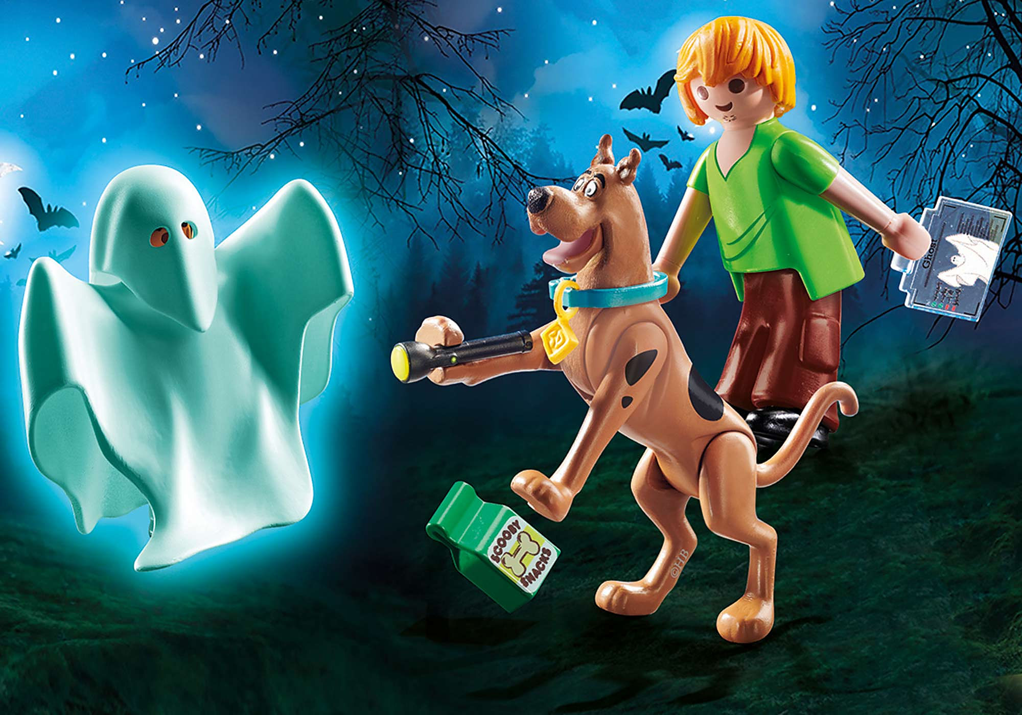 Scooby Doo Scooby And Shaggy With Ghost