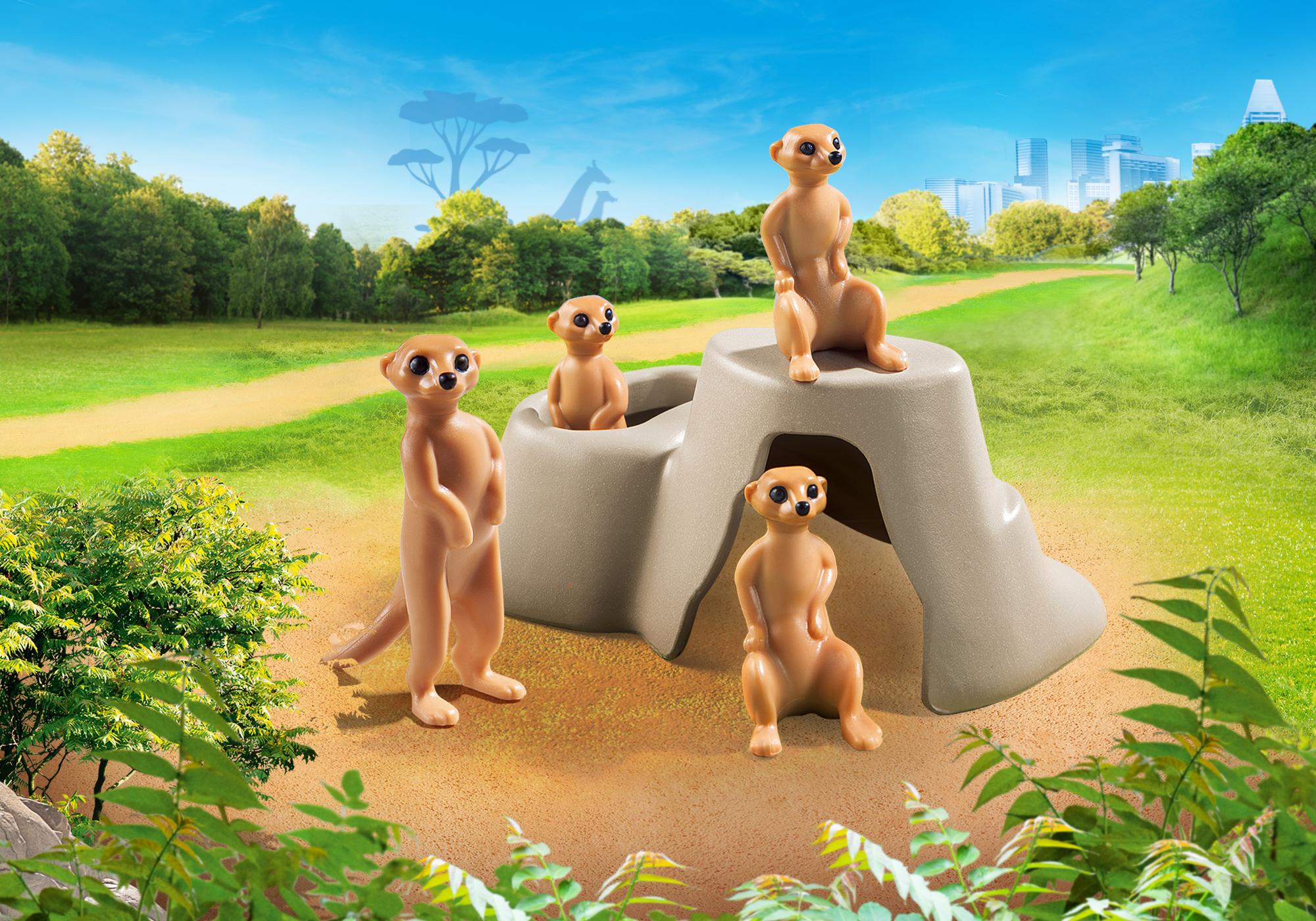 70349 Suricates et rocher