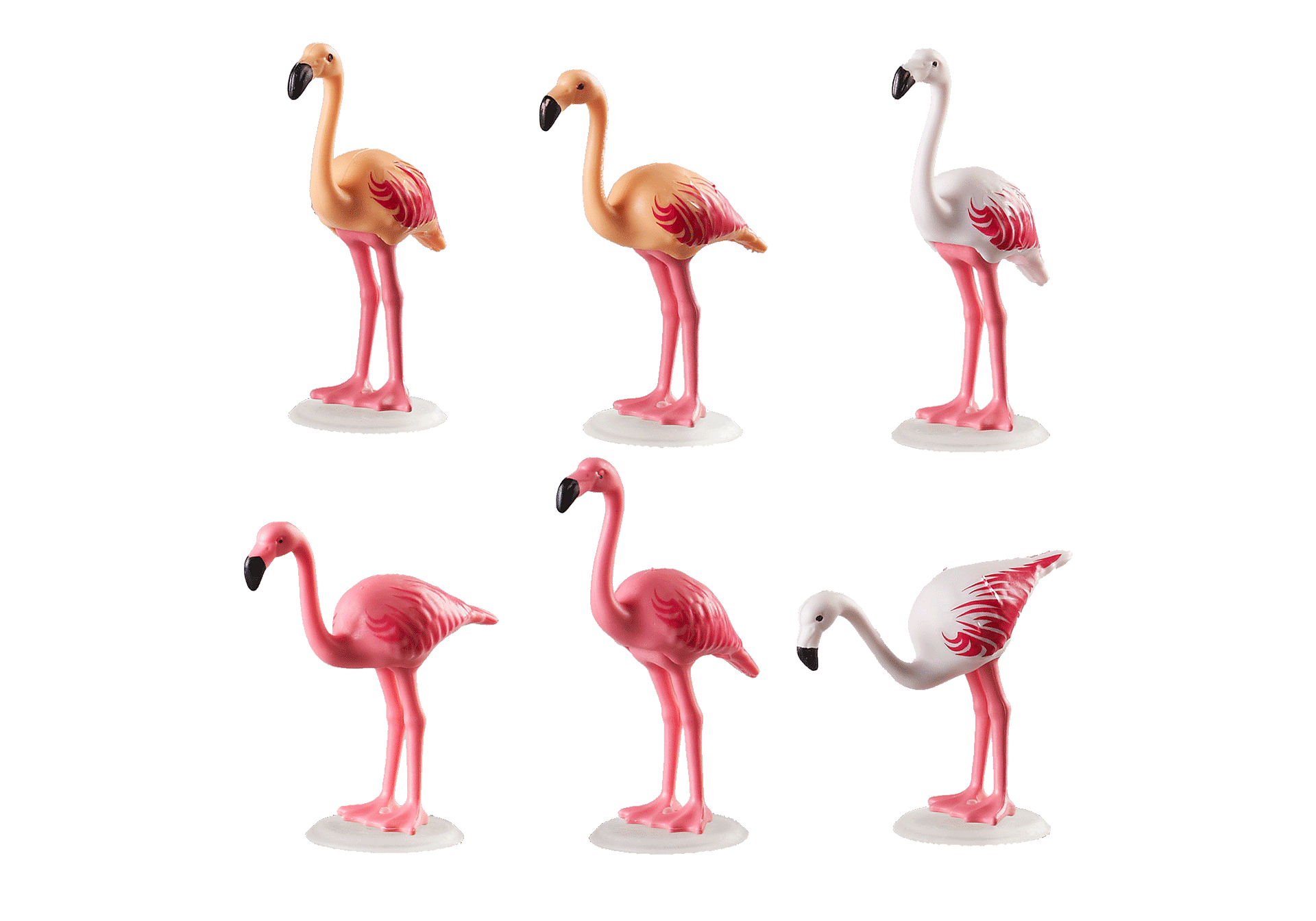 70351 Flock of Flamingos zoom image3